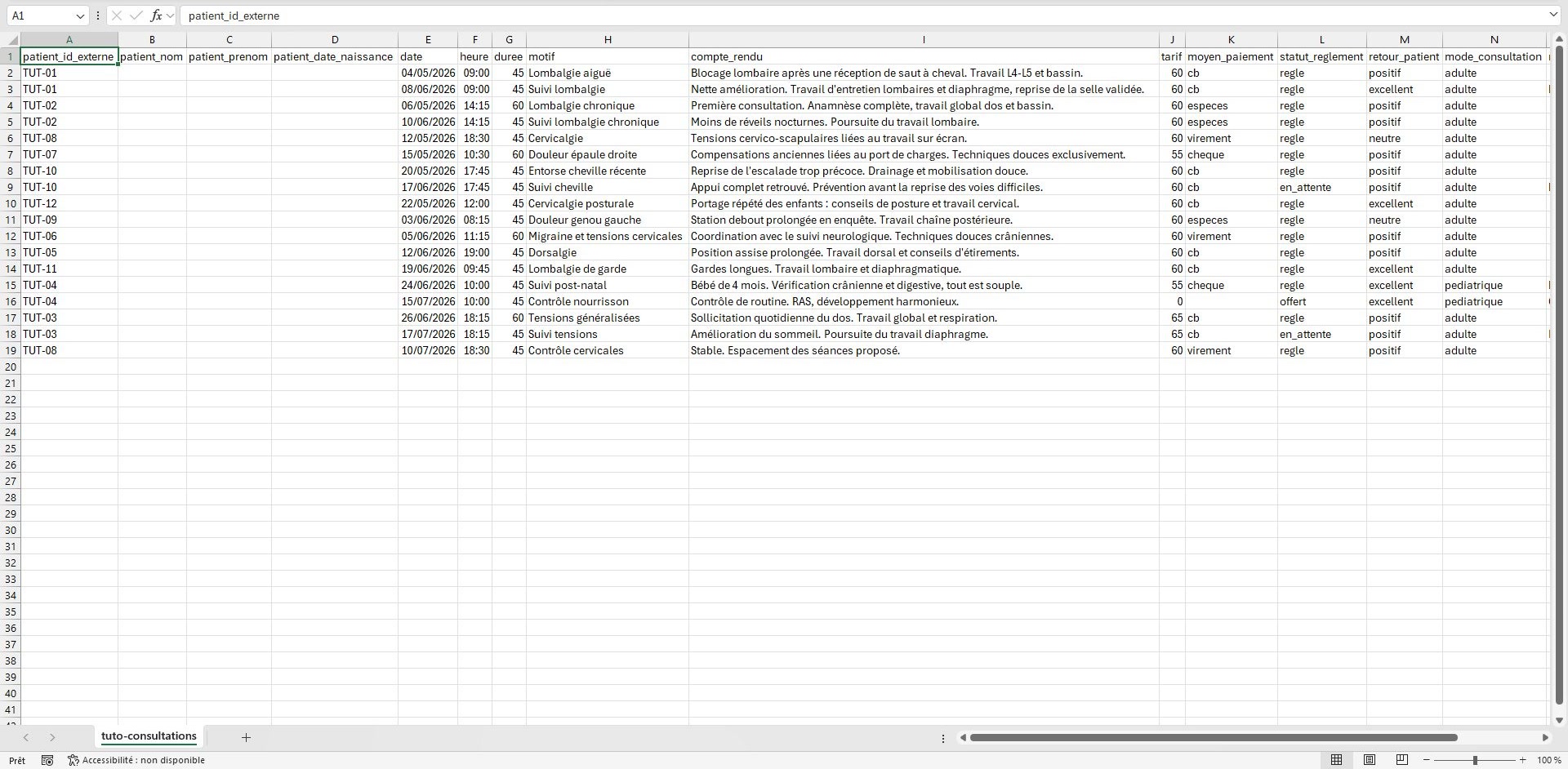 Le fichier consultations mis en forme dans un tableur, une ligne par séance